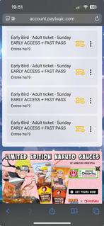 3x DCC kaarten  EARLY ACCES & FAST PASS Adult, Tickets en Kaartjes, Drie personen of meer