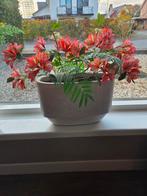 Brynxz bloempot met zijden bloemen, Huis en Inrichting, Ophalen, Gebruikt, Binnen