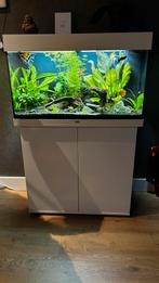 Compleet Jewel aquarium met meubel en vissen, Ophalen, Zo goed als nieuw, Gevuld zoetwateraquarium