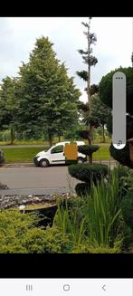Tuinbonsai / Vormboom, Tuin en Terras, Ophalen of Verzenden