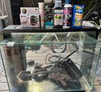 Superfish 65, Dieren en Toebehoren, Vissen | Aquaria en Toebehoren, Ophalen, Gebruikt, Leeg aquarium