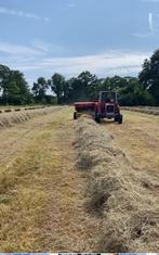 Mooi hooi voor paarden of jongvee, Dieren en Toebehoren, Dierenvoeding, Ophalen, Vee