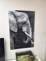 Plexiglas olifant, Huis en Inrichting, Ophalen, Zo goed als nieuw, Schilderij, 75 tot 100 cm