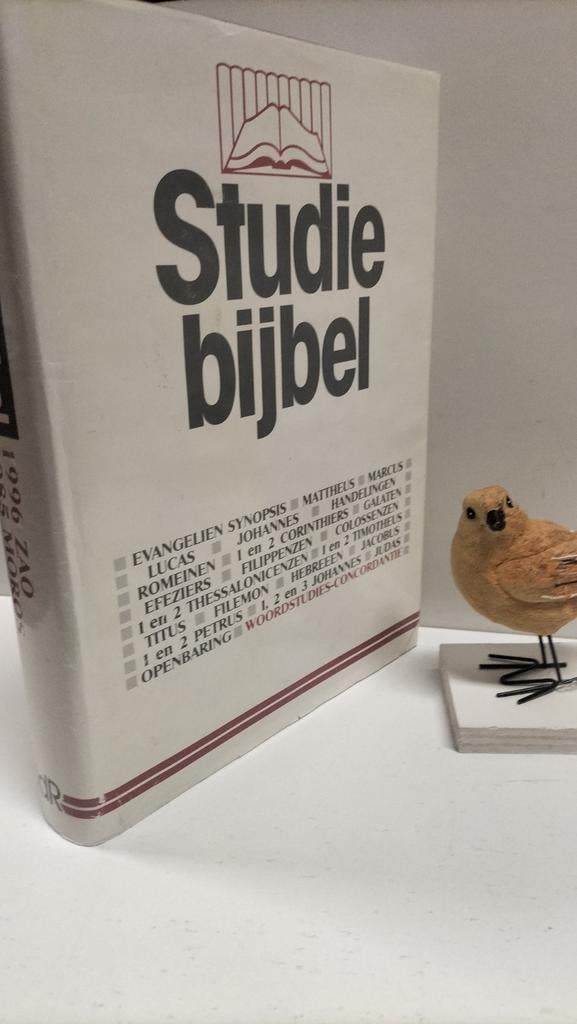 Studiebijbel; NT Dl 13 :  Woords en Conc 1996 zao – 2985 mor, Ophalen of Verzenden, Gelezen, Christendom | Protestants