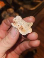 Zandsteen, Ophalen of Verzenden, Mineraal