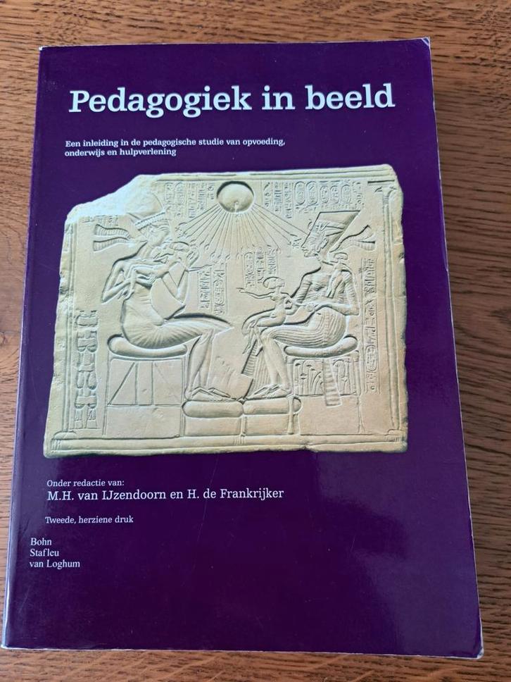 Pedagogiek in beeld - IJzendoorn & de Frankrijker, Boeken, Studieboeken en Cursussen, Gelezen, HBO, Gamma, Ophalen of Verzenden