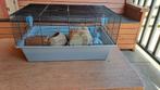 Hamsterkooi voor kleine hamster, Kooi, Minder dan 75 cm, Zo goed als nieuw, Hamster
