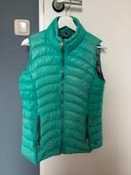 Cecil bodywarmer - maat M, Maat 38/40 (M), Blauw, Ophalen of Verzenden, Gedragen