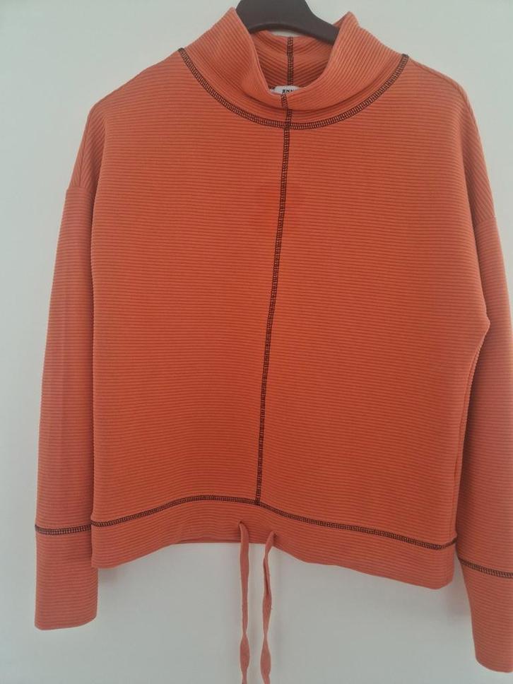 "Z.G.A.N. "ANNA" PULL. MT M, Kleding | Dames, Tops, Zo goed als nieuw, Maat 38/40 (M), Lange mouw, Ophalen of Verzenden