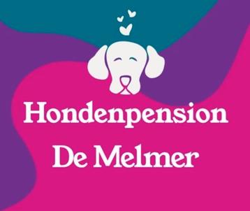 Hondenoppas - hondenpension - hondenopvang -dagopvang hond. beschikbaar voor biedingen