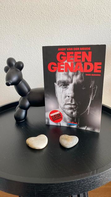 Thijs Slegers - Geen genade beschikbaar voor biedingen