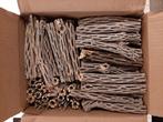 cholla wood, Ophalen, Nieuw, Tak, Plant, Rots of Steen