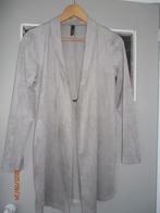 Suedine jasje, Maat 38/40 (M), Ophalen of Verzenden, Zo goed als nieuw, Jasje