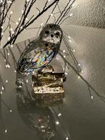 Harry potter hedwig, Verzamelen, Swarovski, Ophalen of Verzenden, Nieuw