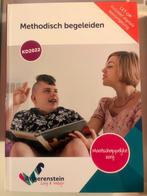 Methodisch begeleiden Zorg & Welzijn; Angerenstein, Boeken, Overige vakken, Boom, Ophalen of Verzenden, Zo goed als nieuw