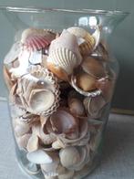 Vaas met Portugese Schelpen - 20x15cm, Gebruikt, Overige kleuren, Ophalen of Verzenden, Glas