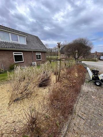 Hovenier beschikbaar voor biedingen
