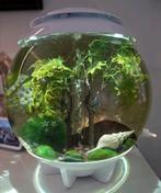 Complete BiOrb Halo 30 liter met garnalen en vissen, Dieren en Toebehoren, Vissen | Aquaria en Toebehoren, Ophalen, Zo goed als nieuw