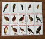 Suriname Vogels 2009 - Postfris, Ophalen of Verzenden, Postfris