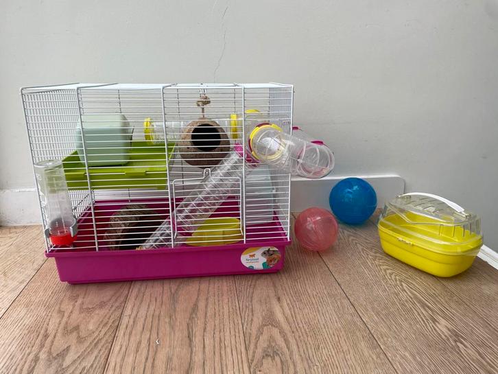 Verblijf voor kleine knaagdieren, Dieren en Toebehoren, Knaagdieren en Konijnen | Hokken en Kooien, Gebruikt, Kooi, Minder dan 60 cm