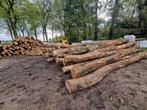 BERKEN STAMMEN OM ZELF TE KLOVEN, Tuin en Terras, Haardhout, Stammen, Ophalen of Verzenden, Berkenhout