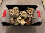20 KG los gesteente Reef / zoutwateraquarium., Ophalen of Verzenden, Gebruikt, Plant(en), Steen of Hout