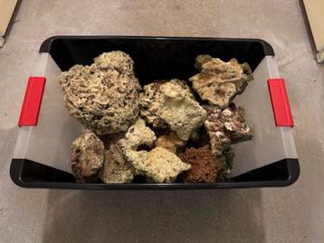 20 KG los gesteente Reef / zoutwateraquarium. beschikbaar voor biedingen