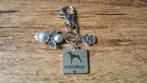 (Sleutel)Hanger Dobermann RVS met beschermengeltje, Verzenden, Nieuw, Hanger