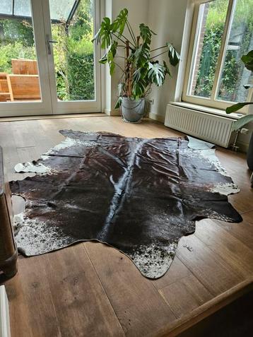Koeienvel Zwart/Donkerbruin met Wit beschikbaar voor biedingen