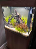 Juwel aquarium helemaal conpleet, Ophalen of Verzenden, Zo goed als nieuw