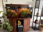 Juwel vision 260, Dieren en Toebehoren, Ophalen, Zo goed als nieuw, Leeg aquarium