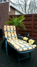 ligstoel strandstoel Ligbed inclusief DIK deckchairkussen, Tuin en Terras, Ligbedden, Verstelbaar, Ophalen