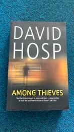Among thieves - David Hosp, Ophalen of Verzenden, Gelezen
