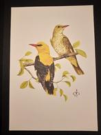 Wielewaal, Verzenden, 1980 tot heden, Zo goed als nieuw, Dier