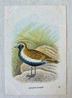 Albumplaatje Goudplevier - Tiktak's vogelalbum 2, Ophalen of Verzenden, Gebruikt