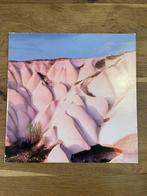 Autechre lp’s albums vinyl Warp LP, Ophalen of Verzenden, Gebruikt, Overige formaten