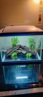 Aquarium in nette staat € 35,00, Dieren en Toebehoren, Ophalen of Verzenden, Zo goed als nieuw, Leeg aquarium