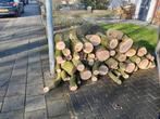 Eiken haart hout., Minder dan 3 m³, Ophalen