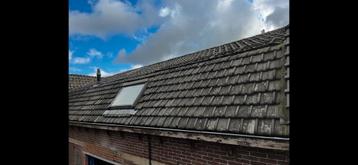 Ca. 80m2 kruispannen blauw gesmoord  beschikbaar voor biedingen