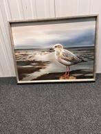 Schilderij van een meeuw, Ophalen