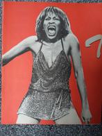 Tina Turner, Ophalen of Verzenden