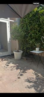 Gratis 10 - 12 m2 tegels, Gebruikt, Ophalen of Verzenden, 10 m² of meer, Beton