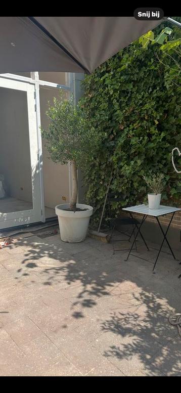 Gratis 10 - 12 m2 tegels beschikbaar voor biedingen