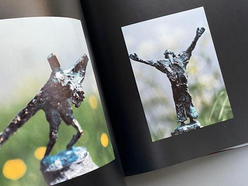 Jits Bakker Kunstenaar / beeldhouwer, Boeken, Kunst en Cultuur | Beeldend, Zo goed als nieuw, Beeldhouwkunst, Ophalen of Verzenden