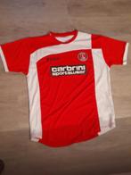 Charlton Athletic  shirt orgineel 2008/2009, Ophalen of Verzenden, Gebruikt, Buitenlandse clubs, Shirt