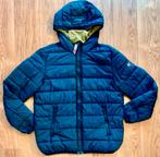 Tommy Hilfiger jas, Ophalen of Verzenden, Zo goed als nieuw, Blauw