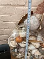 Grote pot met schelpen, Ophalen, Zo goed als nieuw