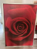 Rozen schilderij, Antiek en Kunst, Kunst | Schilderijen | Abstract, Ophalen of Verzenden