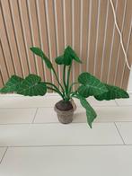 Kidsdepot vilten plant ZGAN, Ophalen of Verzenden, Zo goed als nieuw, Lamp