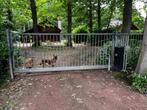 Zeer stevige industriële automatische poort - MOTOR DEFECT, Tuin en Terras, Ophalen, Gebruikt, 200 cm of meer, Schuifpoort